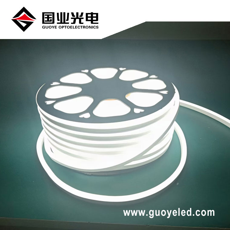 led-neon-flex-220v_929473.jpg