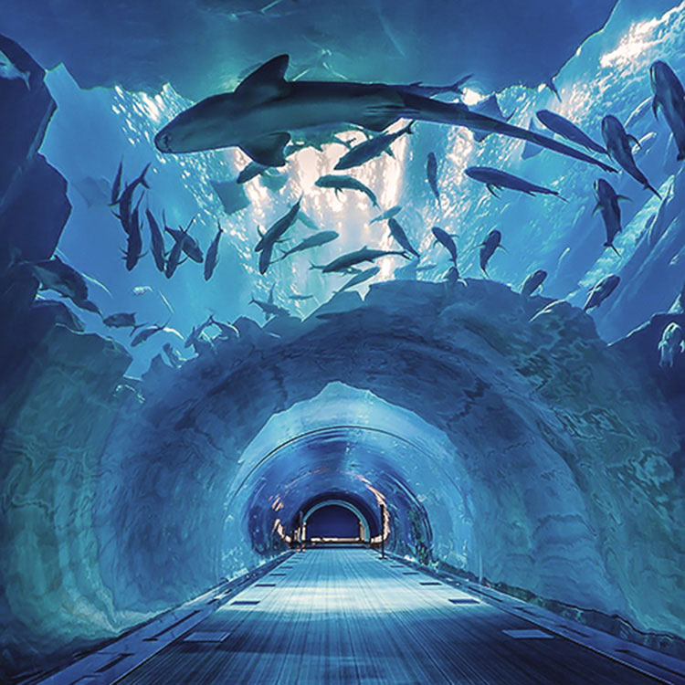 The Characteristics of Acrylic Professional Aquarium