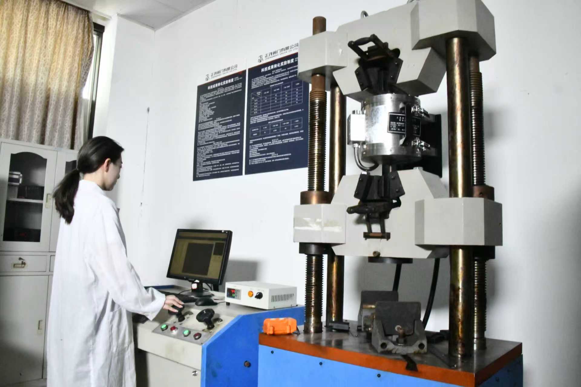 Carbon Steel Valve Manufacturer in China: Quality and Precision Solutions