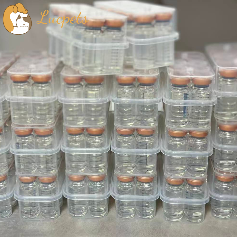 OEM FIP Injectable GS-441524 What Cat Owners Should Understand About FIP Treatment